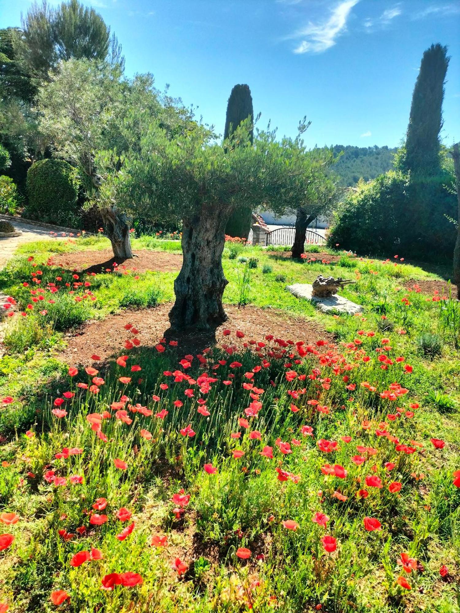 Vacances Carnoux-en-Provence Екстер'єр фото